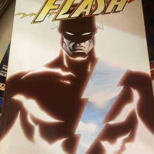 Universo DC The Flash nº6